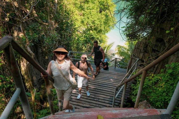 People walking up wooden stairs surrounded by lush greenery.