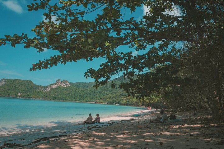 People sitting on a beach under a tree, with blue water and hills in the background.