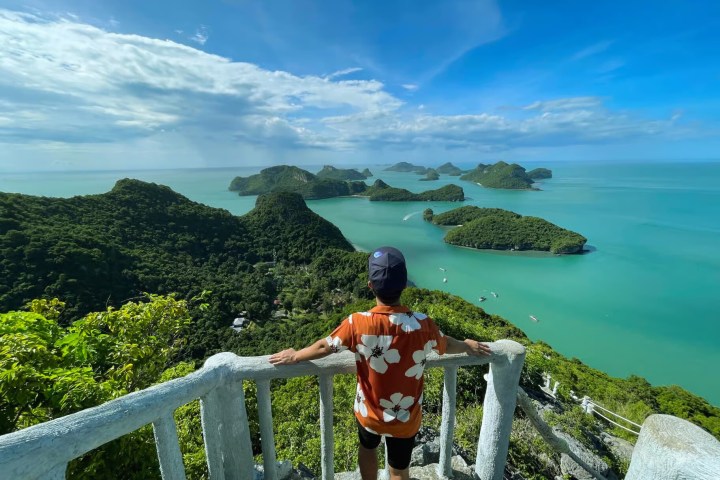 Person in floral shirt overlooks scenic bay with islands and green water.