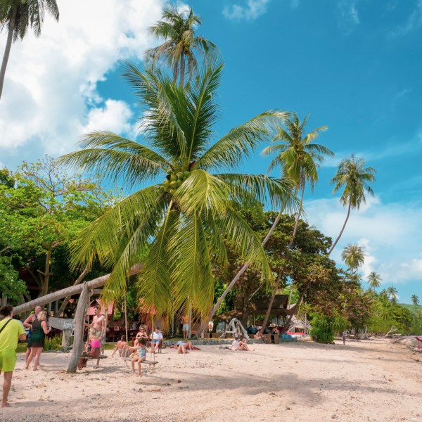 People enjoying a sunny day on a tropical beach with palm trees.