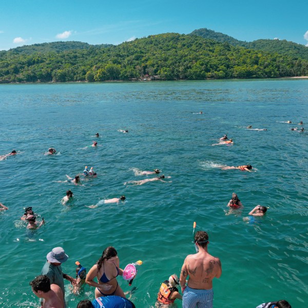People snorkeling in clear blue water near a lush green island.