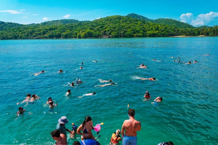 People snorkeling in clear blue water near a lush, green island.