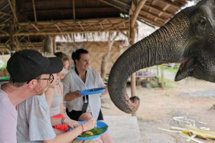 People feeding an elephant under a thatched roof shelter.