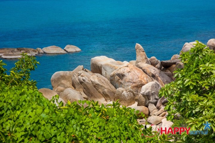 Large rocks beside a clear blue sea with lush green foliage in the foreground.