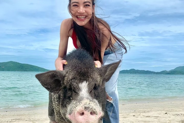 Woman smiling with a pig on a sandy beach by the sea.