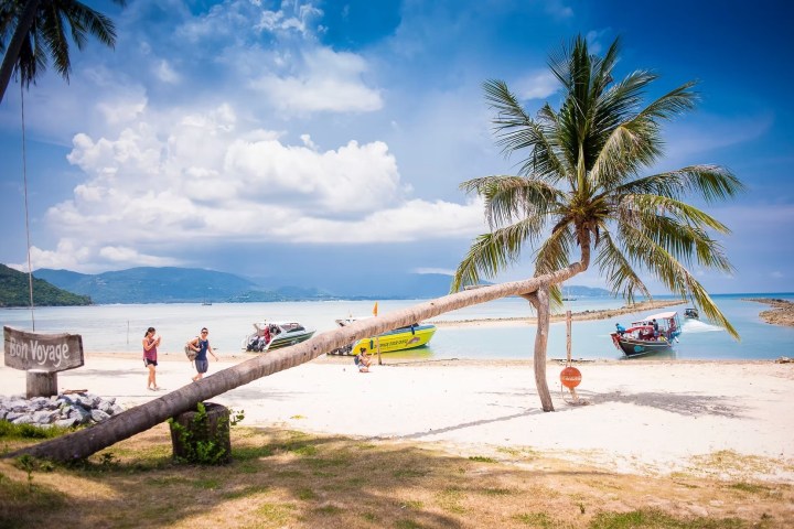 Beach scene with palm tree, boats, and people under a blue sky.