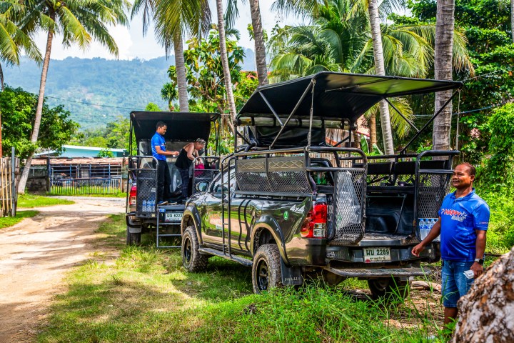 Two pickup trucks parked on a dirt road, surrounded by palm trees.