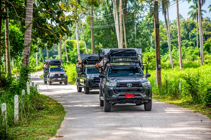 Three off-road vehicles with roof racks driving on a narrow, tree-lined road.