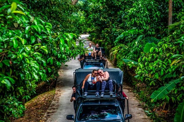 People on jeeps enjoying a lush jungle safari.