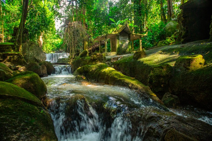 Small waterfall flowing through lush, green forest with rocks and moss.