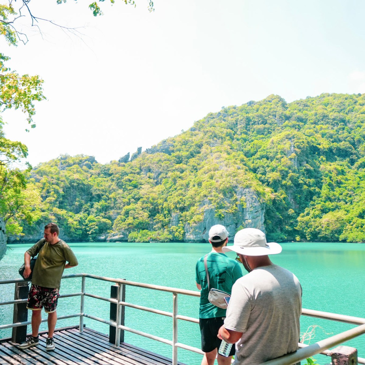 People on a viewing platform overlooking a green lagoon and forested hills.