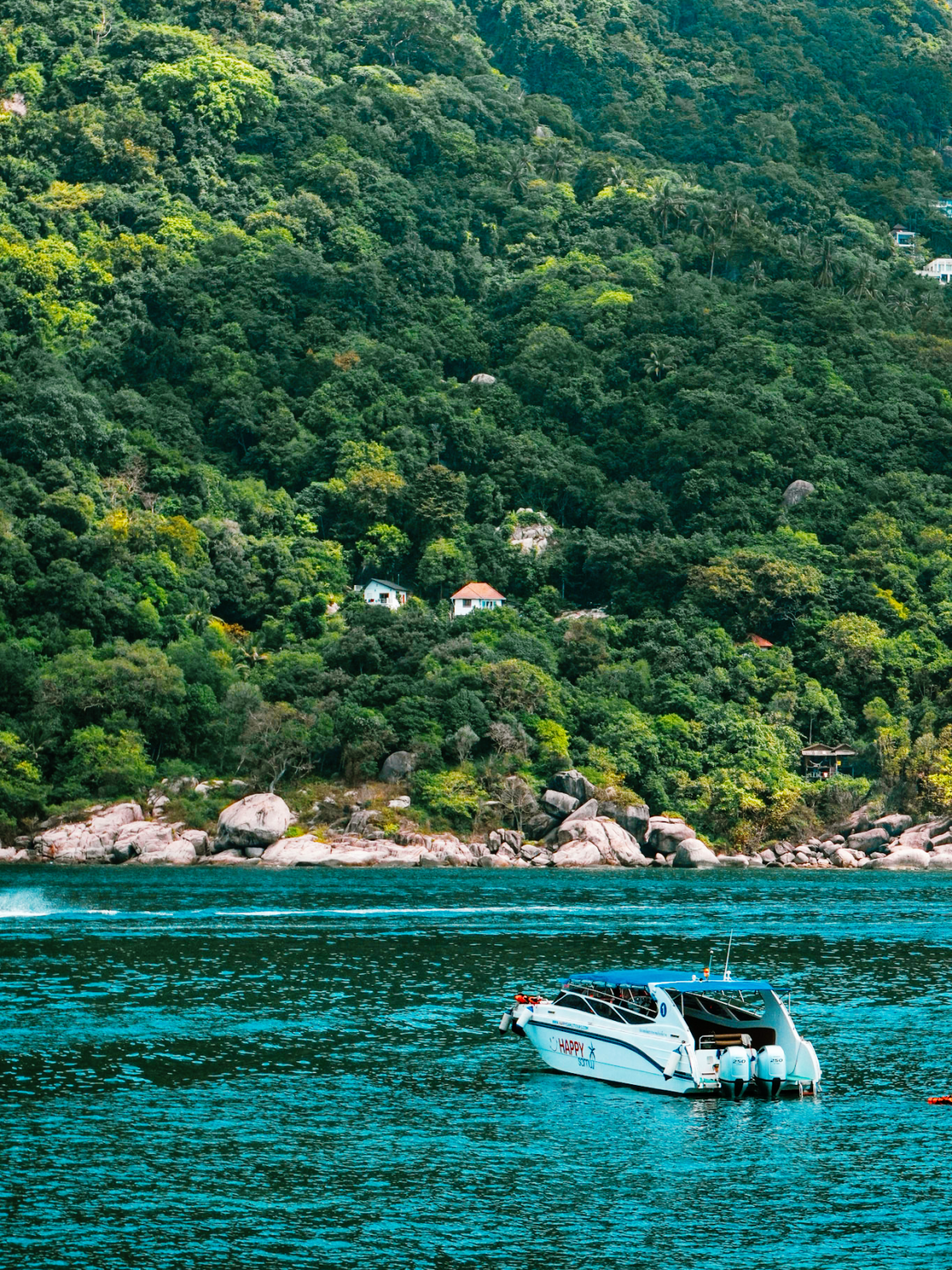 Boat floating on clear blue water near lush green hillside.
