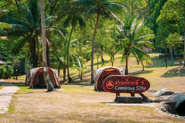 Tents under palm trees at a camping site with a sign.