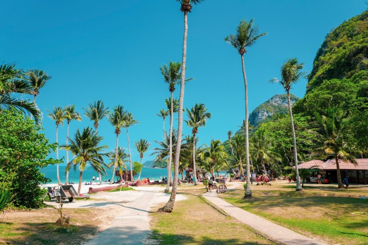 Tropical beach scene with palm trees, clear sky, and people relaxing.
