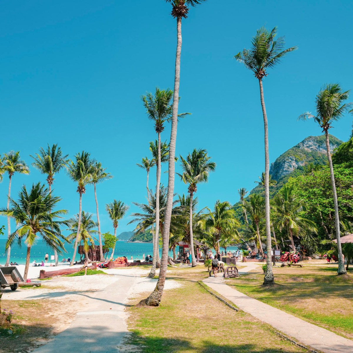 Tropical beach scene with palm trees, clear sky, and people relaxing.