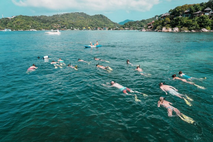 Group of snorkelers in a bay near cliffs with two kayakers nearby.