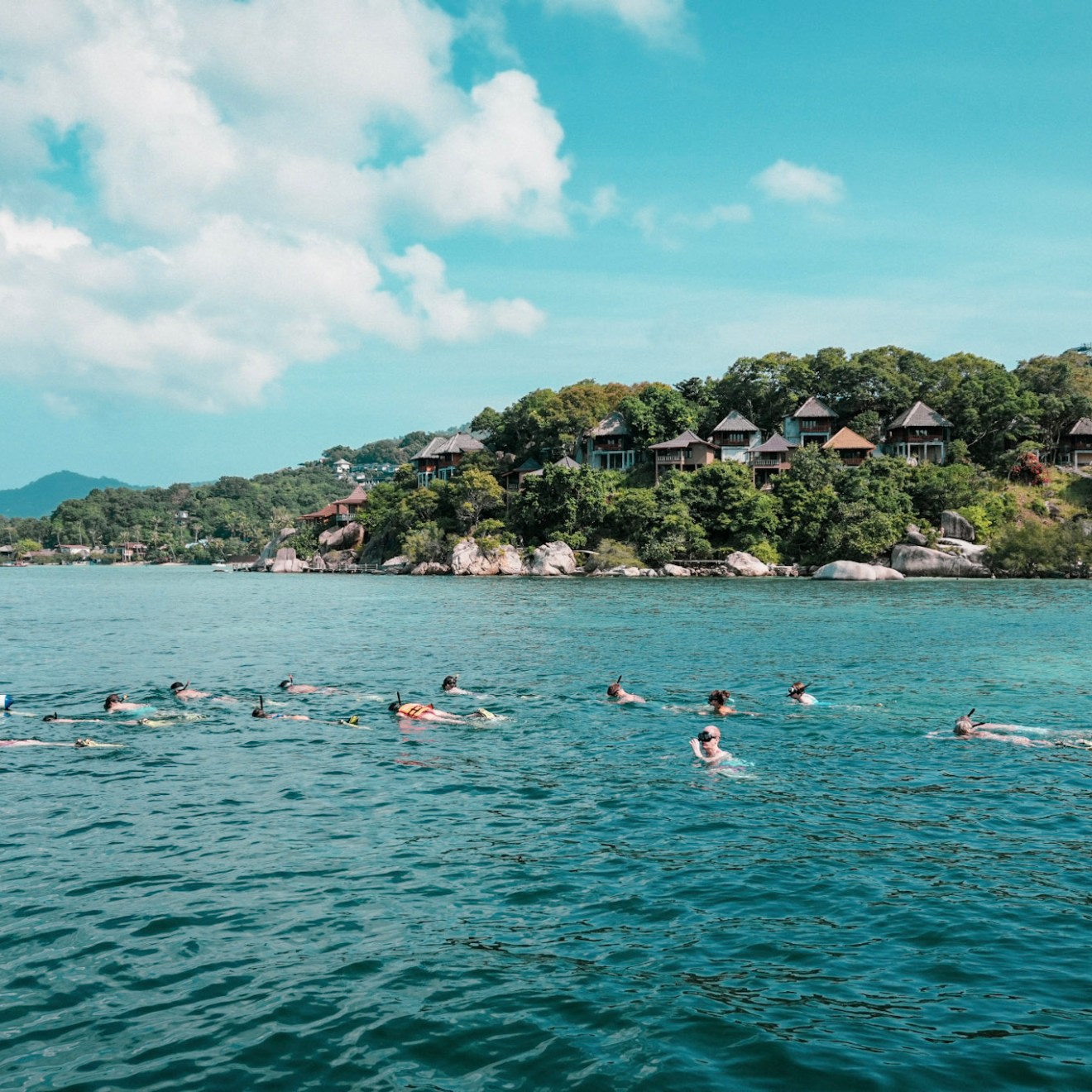 Group of people snorkeling in a tropical bay near wooded hillside with villas.